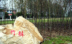 招生公告 · 招生簡章 · 招生計劃