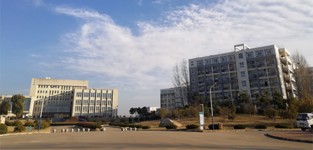 我的大學(xué)-大學(xué)志