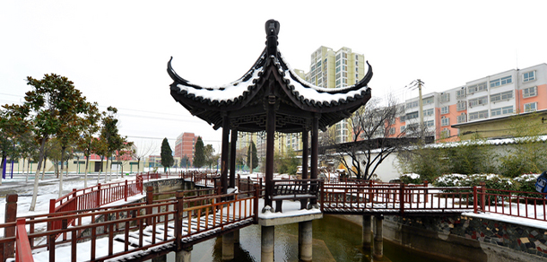 我的大學(xué)-大學(xué)志