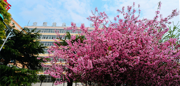 我的大學(xué)-大學(xué)志