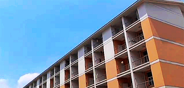 我的大學(xué)-大學(xué)志