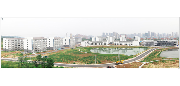 我的大學(xué)-大學(xué)志