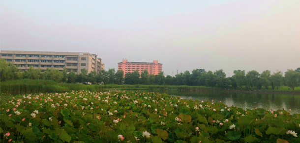 我的大學(xué)-大學(xué)志