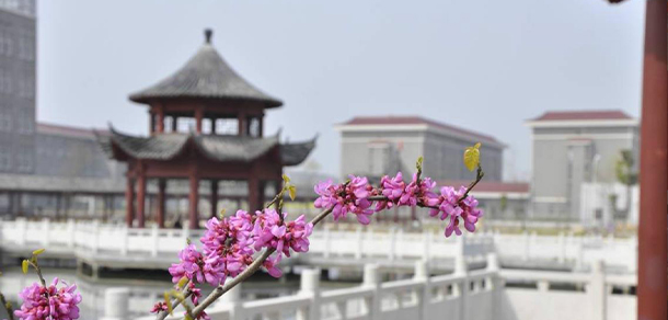 我的大學(xué)-大學(xué)志