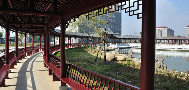 我的大學(xué)-大學(xué)志