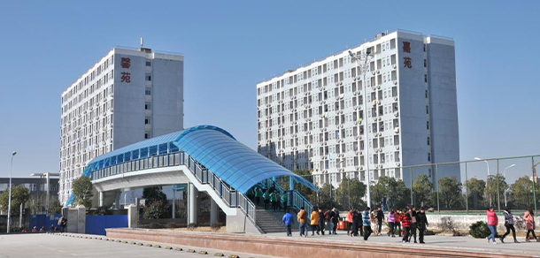 我的大學(xué)-大學(xué)志