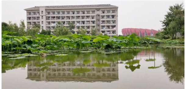 我的大學(xué)-大學(xué)志