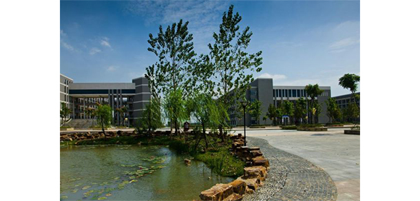 我的大學(xué)-大學(xué)志
