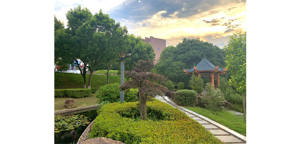 我的大學-大學志