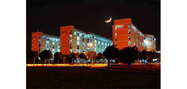 我的大學(xué)-大學(xué)志