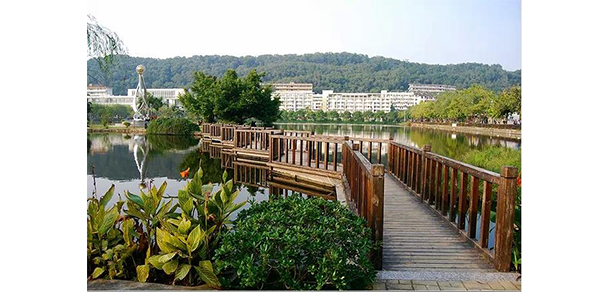 我的大學(xué)-大學(xué)志
