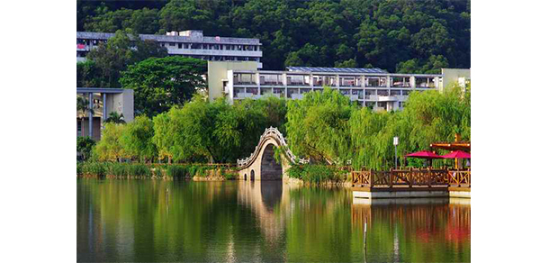我的大學(xué)-大學(xué)志