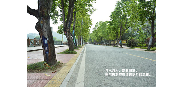 我的大學(xué)-大學(xué)志