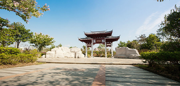 我的大學(xué)-大學(xué)志