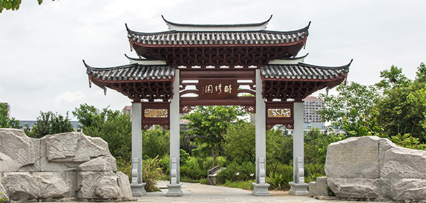 我的大學(xué)-大學(xué)志