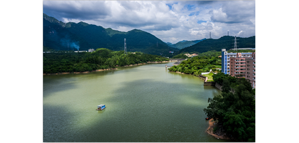 我的大學(xué)-大學(xué)志