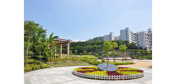 我的大學(xué)-大學(xué)志