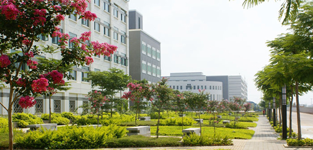 我的大學(xué)-大學(xué)志