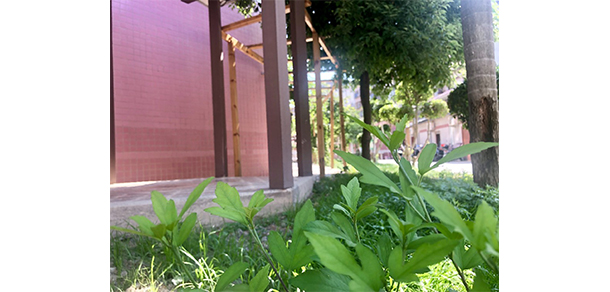 福州科技職業(yè)技術(shù)學院