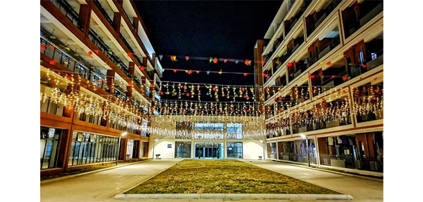 我的大學(xué)-大學(xué)志