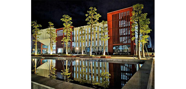 我的大學(xué)-大學(xué)志