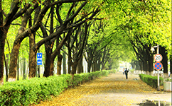 招生公告 · 招生簡(jiǎn)章 · 招生計(jì)劃