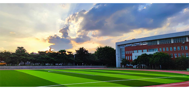 我的大學(xué)-大學(xué)志