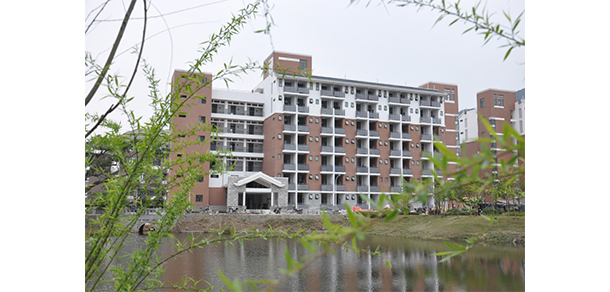 我的大學(xué)-大學(xué)志