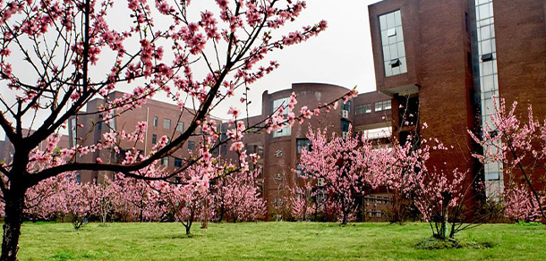 我的大學-大學志