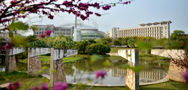 我的大學(xué)-大學(xué)志