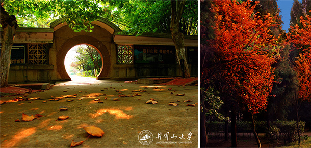 我的大學(xué)-大學(xué)志