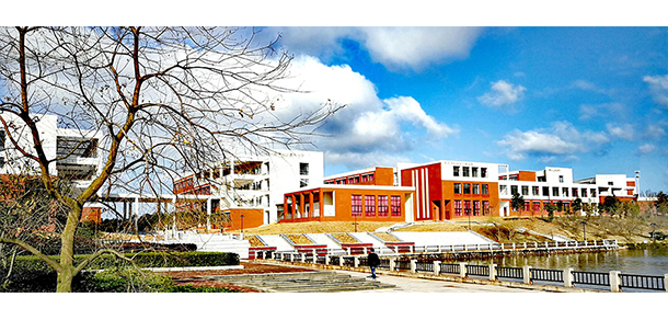 我的大學-大學志