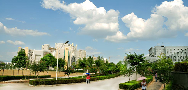 我的大學(xué)-大學(xué)志