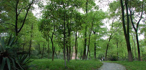 我的大學(xué)-大學(xué)志