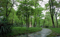 歷史沿革（概）校史