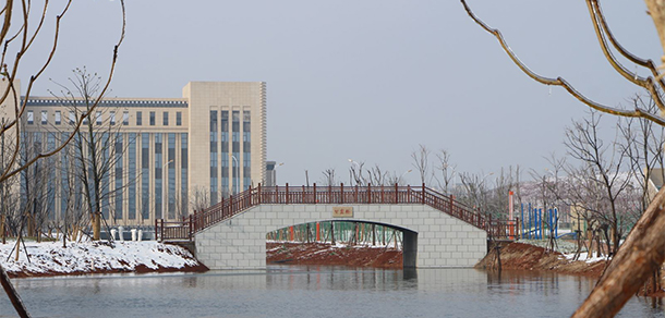 我的大學-大學志