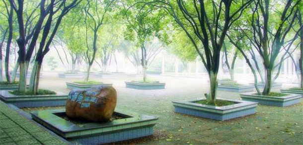 我的大學(xué)-大學(xué)志