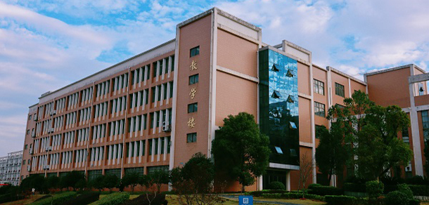 我的大學-大學志