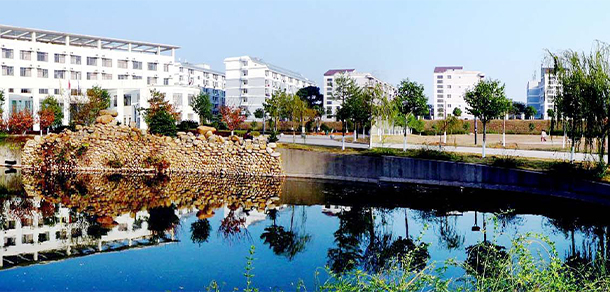 我的大學(xué)-大學(xué)志