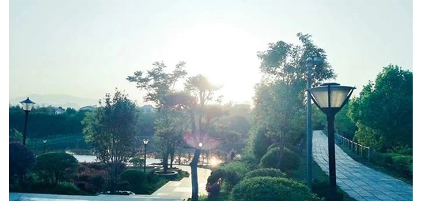 江西楓林涉外經貿職業(yè)學院 - 最美大學