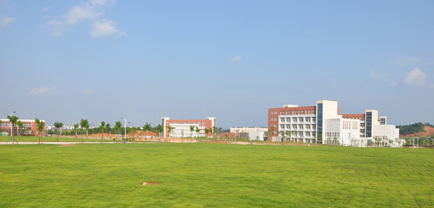 我的大學(xué)-大學(xué)志