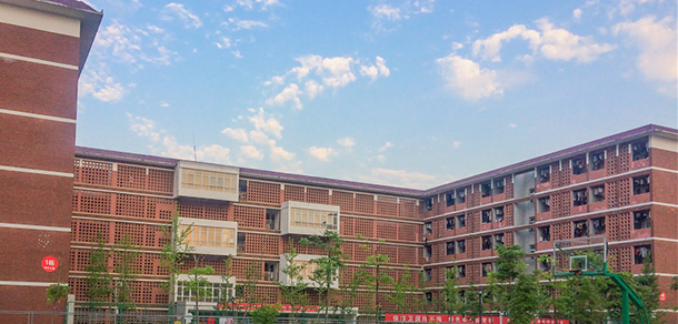 我的大學(xué)-大學(xué)志