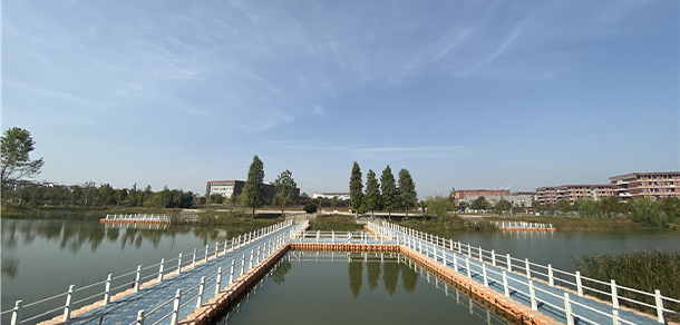 我的大學(xué)-大學(xué)志