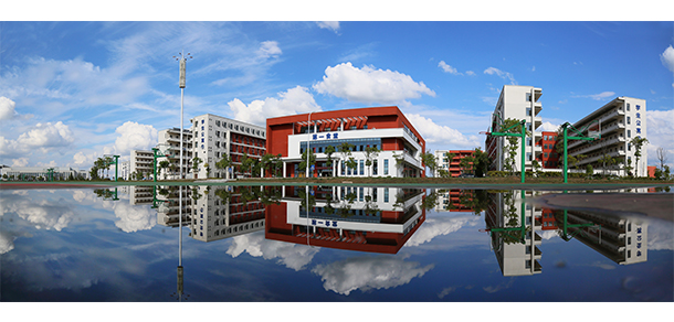 我的大學-大學志