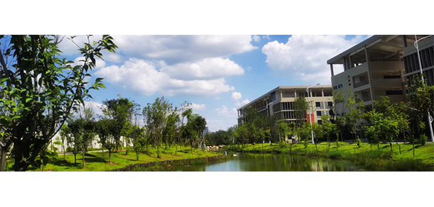 我的大學(xué)-大學(xué)志