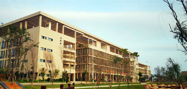 我的大學(xué)-大學(xué)志