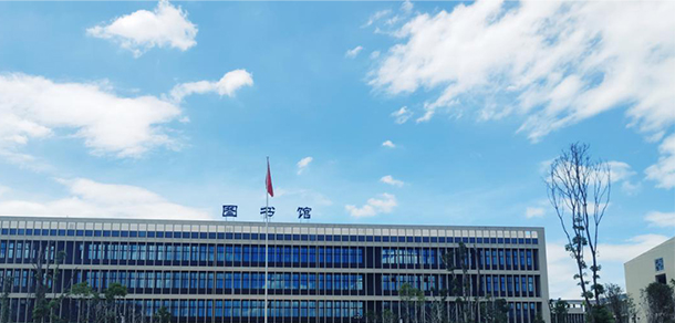 我的大學(xué)-大學(xué)志