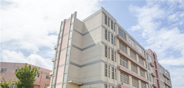 我的大學-大學志