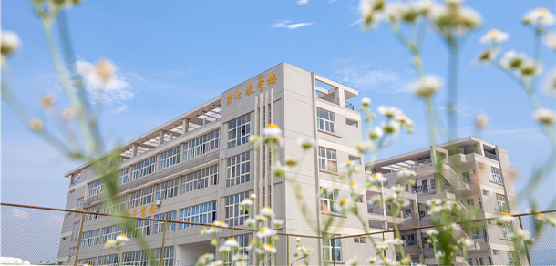 我的大學-大學志