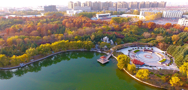 我的大學(xué)-大學(xué)志